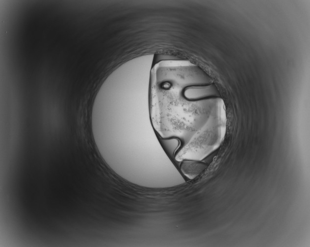 X0000087520762200705181012