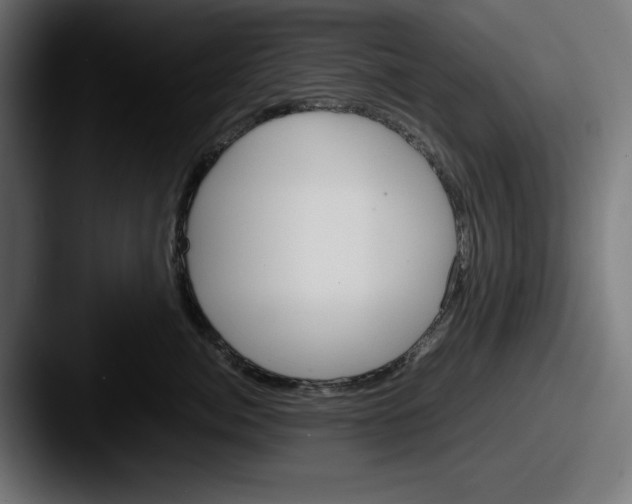 X0000087520764200705181012