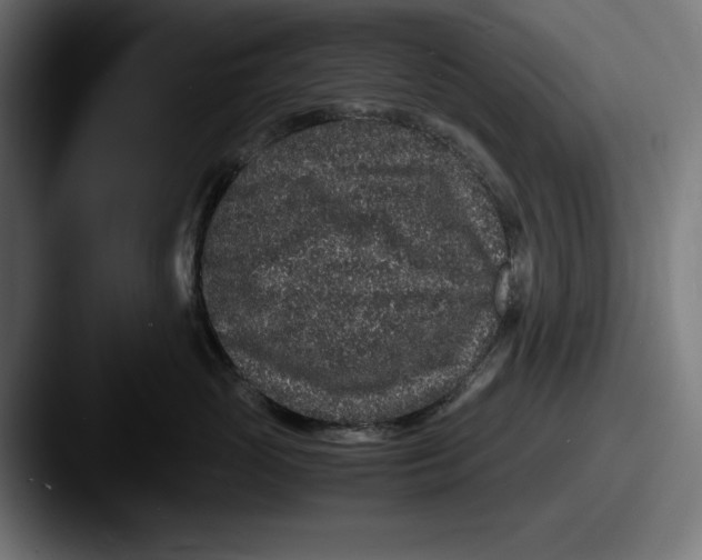 X0000087520765200705181012