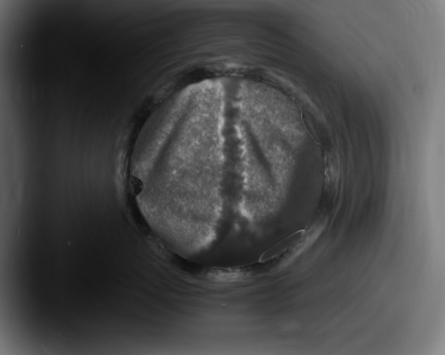 X0000087520767200705181012