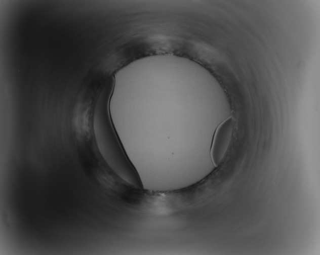 X0000087520768200705181012