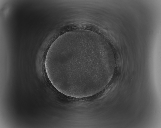 X0000087520769200705181012