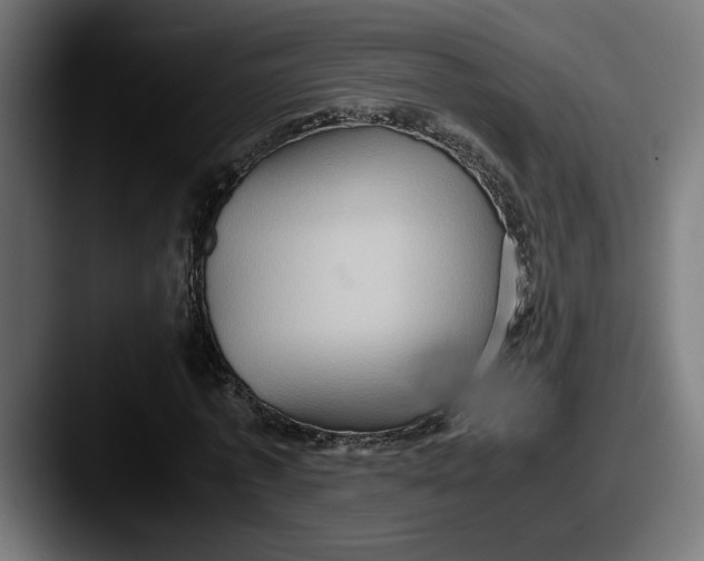 X0000087520773200705181012