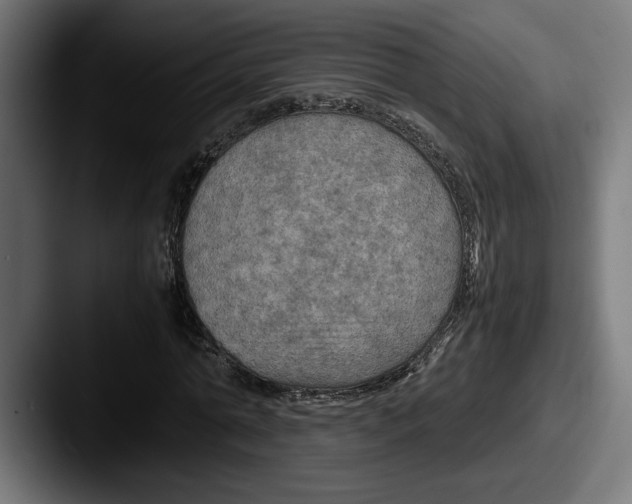 X0000087520774200705181012