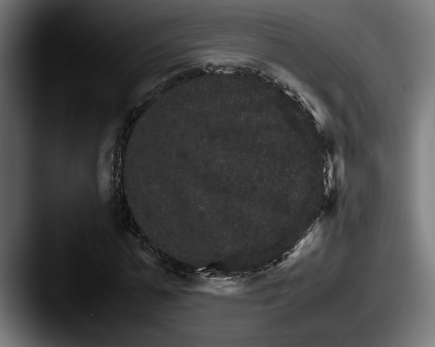 X0000087520775200705181012