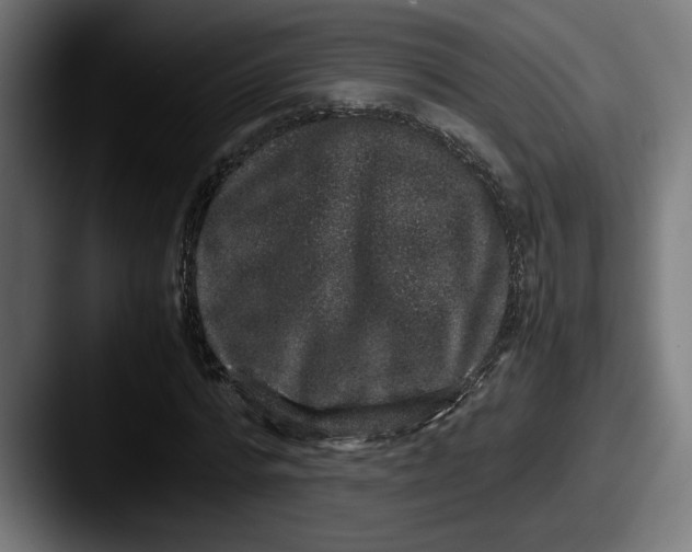 X0000087520776200705181012