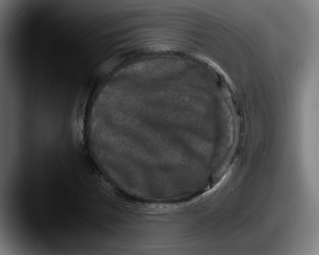 X0000087520777200705181012