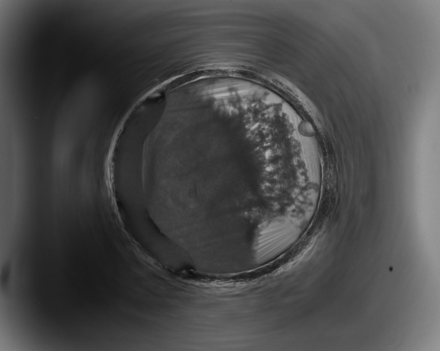 X0000087520779200705181012