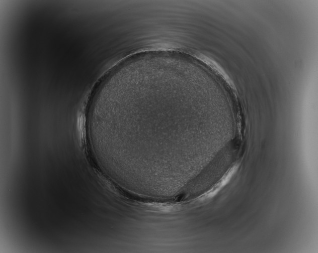 X0000087520781200705181012