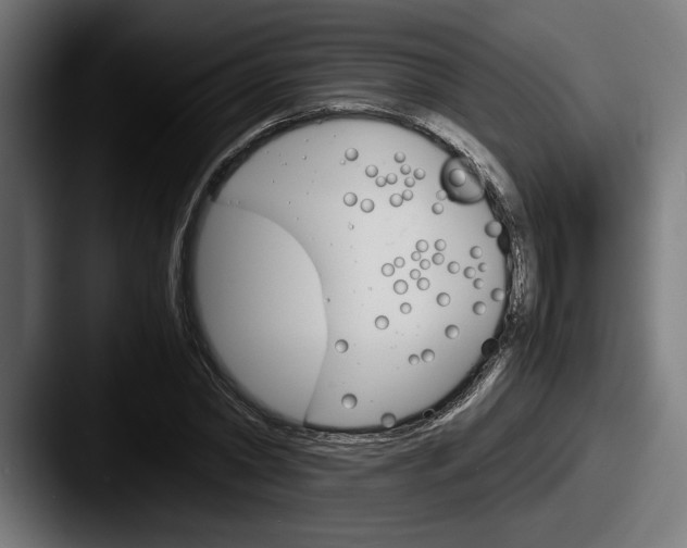 X0000087520782200705181012