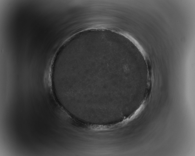 X0000087520783200705181012