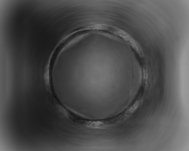 X0000087520784200705181012