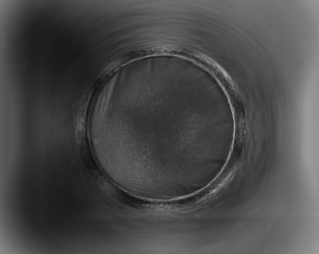 X0000087520785200705181012