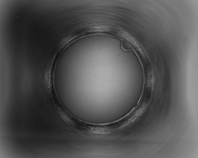 X0000087520786200705181012