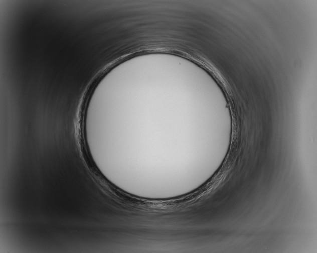 X0000087520787200705181011