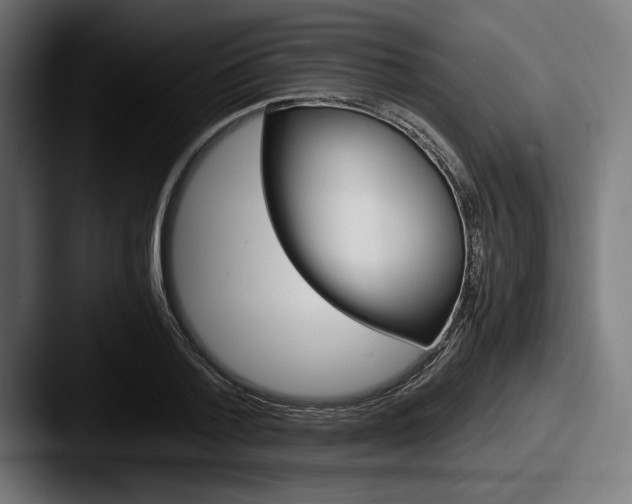 X0000087520788200705181011