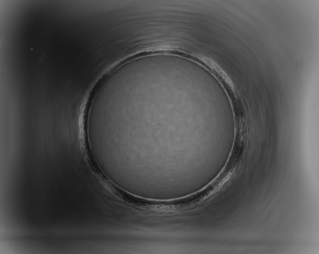 X0000087520789200705181011