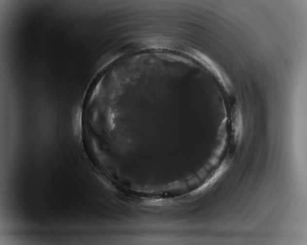 X0000087520790200705181011