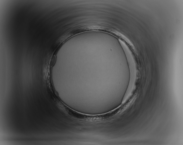 X0000087520793200705181011