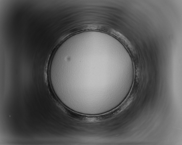 X0000087520794200705181011