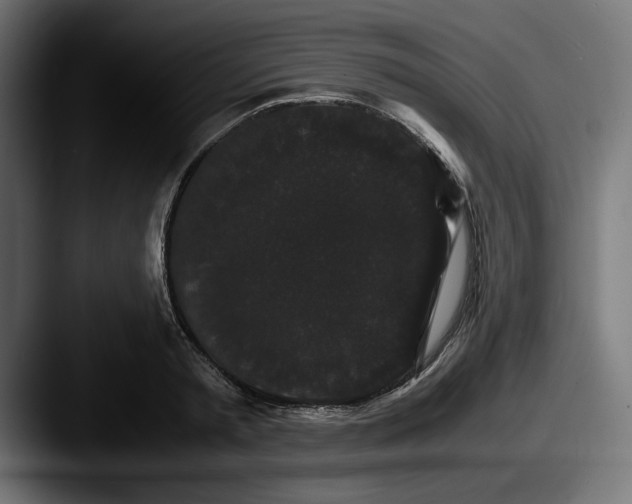 X0000087520797200705181011