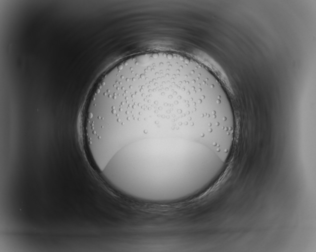 X0000087520798200705181011