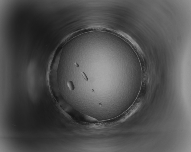 X0000087520799200705181011