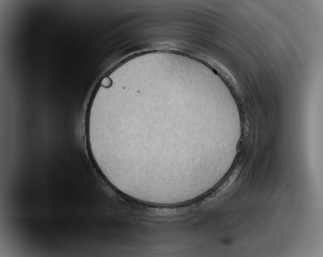 X0000087520800200705181011