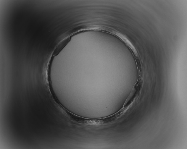 X0000087520805200705181011