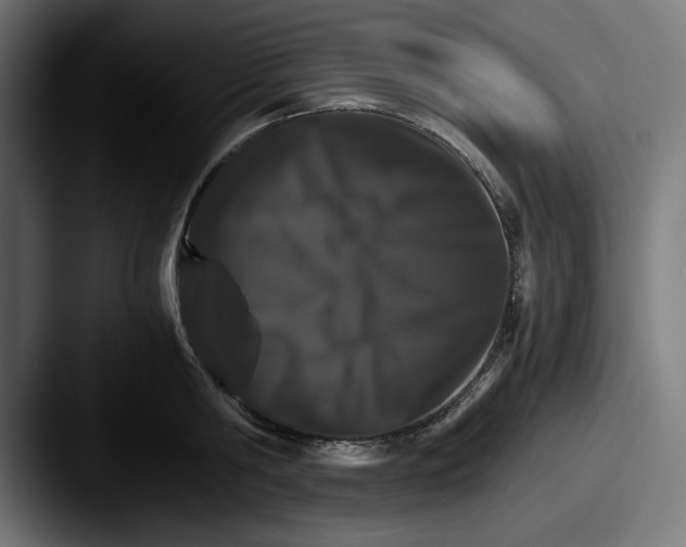 X0000087520806200705181011