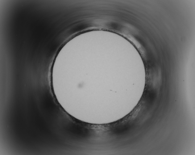 X0000087520807200705181011