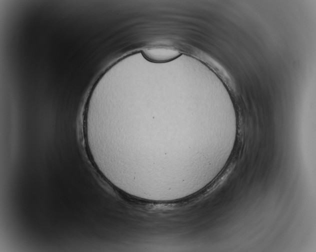 X0000087520808200705181011