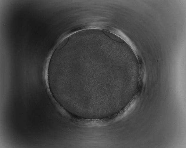 X0000087520811200705181011