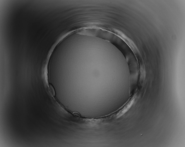 X0000087520812200705181011