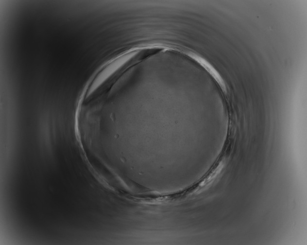 X0000087520813200705181011