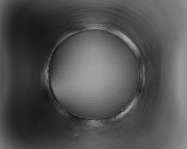 X0000087520814200705181011