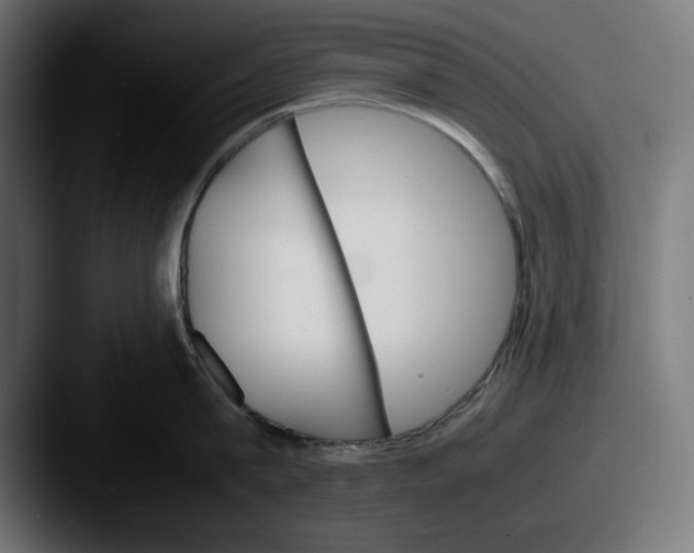 X0000087520815200705181011