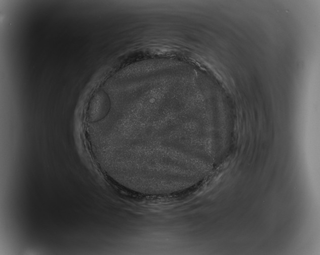 X0000087520817200705181011