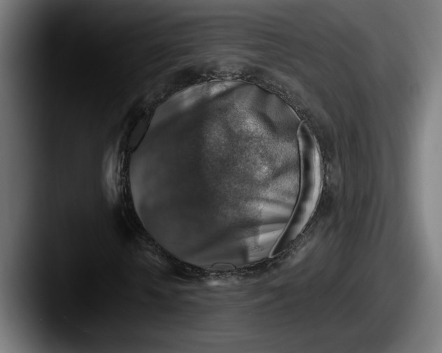 X0000087520818200705181011