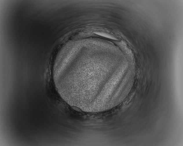 X0000087520821200705181011