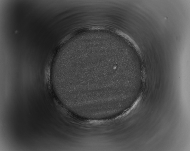 X0000087520825200705181011