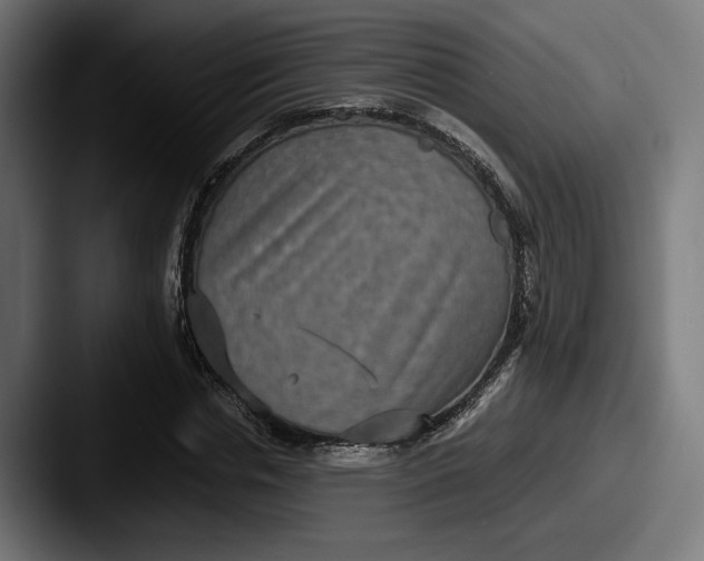 X0000087520826200705181011