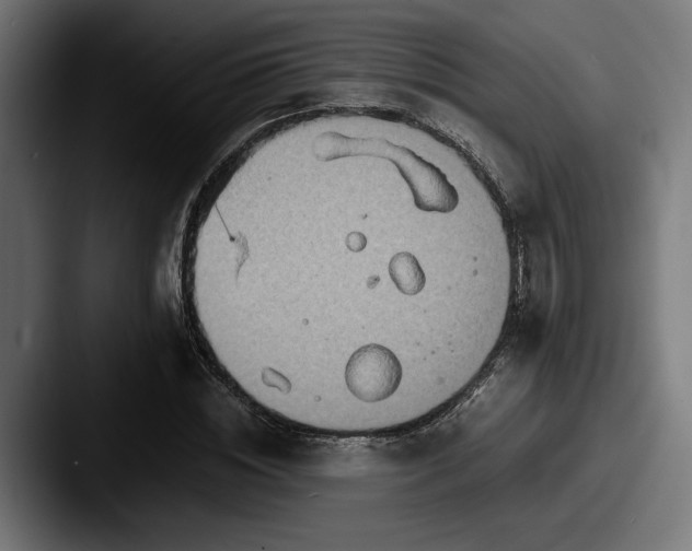 X0000087520828200705181011