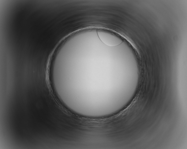 X0000087520832200705181011