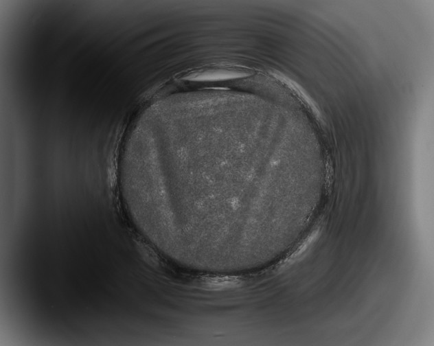 X0000087520833200705181011