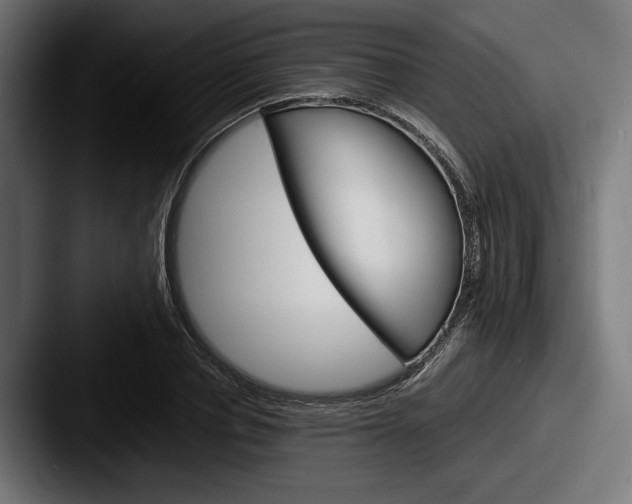 X0000087520834200705181011