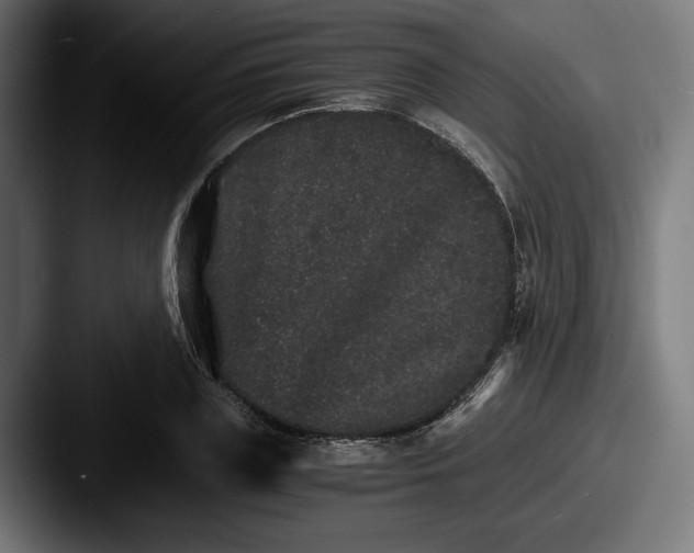 X0000087520835200705181011