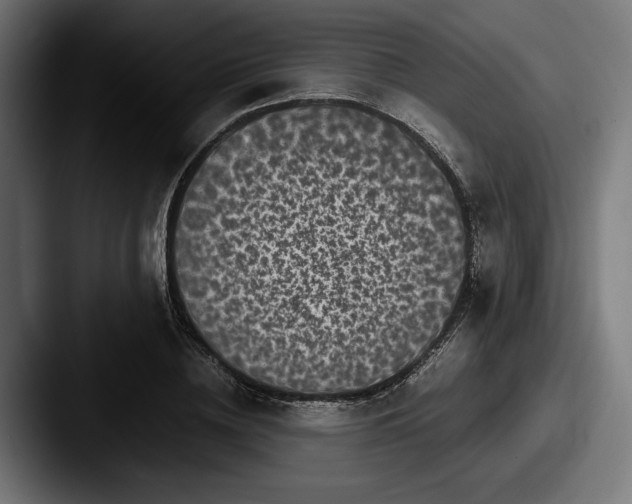 X0000087520836200705181011