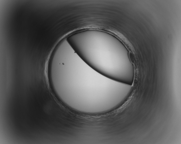 X0000087520838200705181011