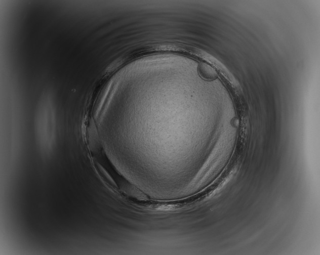 X0000087520841200705181011